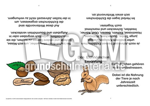 Eichhörnchen-Faltbuch-Ernährung-B.pdf